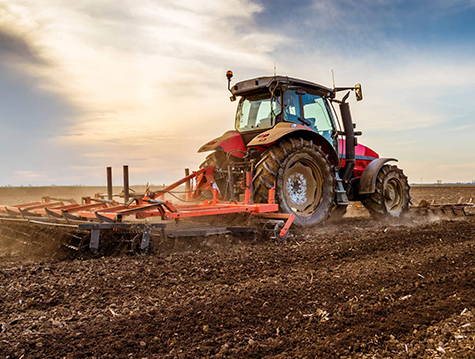 Elemento filtrante de aceite lubricante/aceite de motor