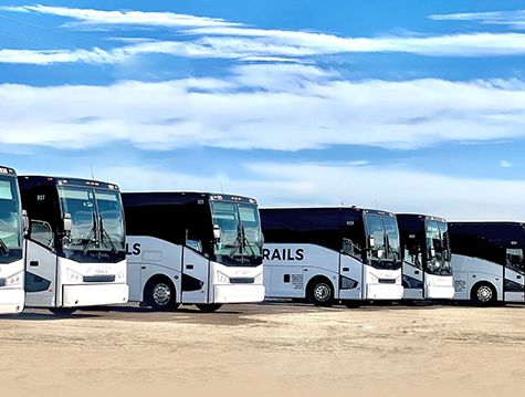 Elemento del filtro de aire